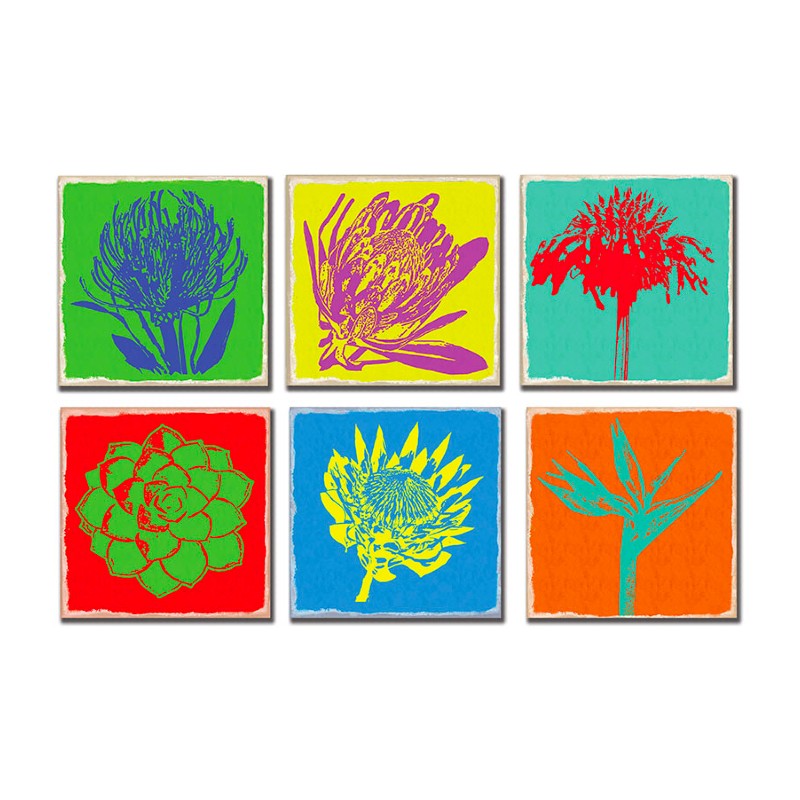 Jisterday Pop Art Fynbos 6 Coaster Gift Set